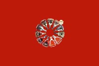 枣庄滕州回收红酒
